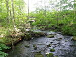 Estes Bog Dam Crossing, Poland, Maine