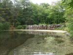 Estes Bog Dam Crossing, Poland, Maine