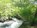 Kendall Dam 2 Crossing, Auburn, Maine