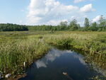 Middle Range Pond Dam Crossing, Poland, Maine