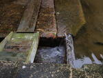 Little Pennesseewassee Lake Dam Crossing, Norway, Maine