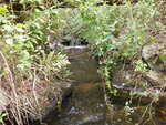 Unnamed Crossing, Liveley Brook, Turner, Maine