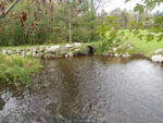 Unnamed Crossing, Liveley Brook, Turner, Maine