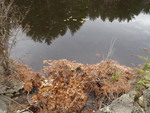 Unnamed Crossing, Durham, Maine