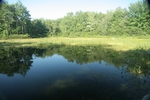 Fish Pond Dam Crossing, Hope, Maine