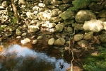 Kingdom Bog Dam Crossing, Montville, Maine
