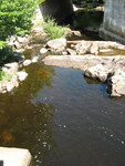 unknown Crossing, Searsmont, Maine