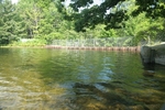 Stevens Pond Dam Crossing, Liberty, Maine