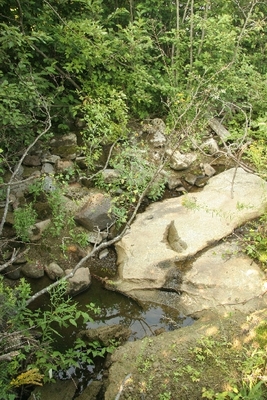 image preview
