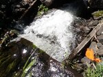 Unknown Crossing, Hobbs Pond Stream, Hope, Maine