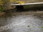Foxwells Bridge Brook Dam Crossing, Cascade Brook, Scarborough, Maine