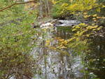 Foxwells Bridge Brook Dam Crossing, Cascade Brook, Scarborough, Maine