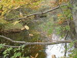 Foxwells Bridge Brook Dam Crossing, Cascade Brook, Scarborough, Maine