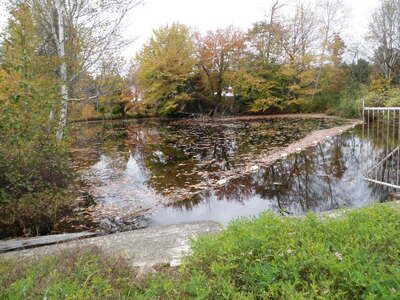 image preview