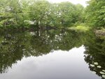 Unknown Crossing, Unknown, Scarborough, Maine