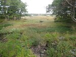 Coleman Pond Dam Crossing, Lincolnville, Maine
