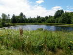 Great Brook Dam Crossing, Great Brook, Damariscotta, Maine