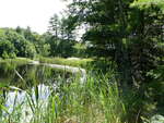 Great Brook Dam Crossing, Great Brook, Damariscotta, Maine