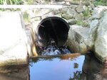 Pollack Creek Dam Crossing, Pollack Creek, Cape Elizabeth, Maine