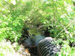 Pollack Creek Dam Crossing, Pollack Creek, Cape Elizabeth, Maine