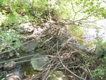 Hurds Pond Dam Crossing, Swanville, Maine