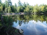 Ellis Pond Dam Crossing, Passagassawakeag River, Brooks, Maine