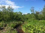 Lower Brook Lot Pond Crossing, Spring Brook, Deblois, Maine