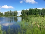 Lower Brook Lot Pond Crossing, Spring Brook, Deblois, Maine