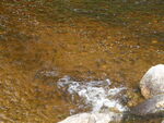 Bog Brook Dam Crossing, Beddington, Maine