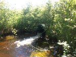 Velvet Pond Dam Crossing, Narraguagus River, Deblois, Maine