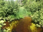 Velvet Pond Dam Crossing, Narraguagus River, Deblois, Maine