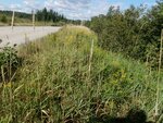 Meadow Brook Dike Crossing, Steuben, Maine