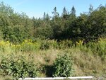 Meadow Brook Dike Crossing, Steuben, Maine