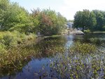 West Bay Pond Dam Crossing, Gouldsboro, Maine