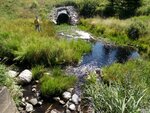 Unnamed Crossing, Steuben, Maine