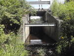 Mill Brook Dam Crossing, Eastbrook, Maine