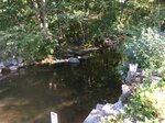 Seabright Mill Dam Crossing, Megunticook River, Camden, Maine