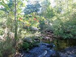 Unknown Crossing, Pemaquid River, Bristol, Maine