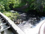 Unknown Crossing, Perry, Maine
