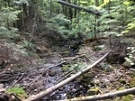 Swift River Trib Dam Crossing, Mexico, Maine