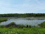Unknown Crossing, Calais, Maine