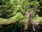 Unknown Crossing, Baring Plt, Maine