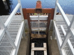 Howard Mill Dike Crossing, Calais, Maine