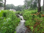 Unknown Crossing, North Berwick, Maine