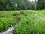 Unknown Crossing, North Berwick, Maine