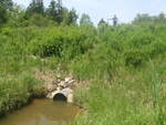 unknown Crossing, Lamoine, Maine