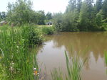 unknown Crossing, Lamoine, Maine