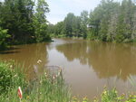unknown Crossing, Lamoine, Maine