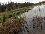 Unnamed Crossing, Brooksville, Maine