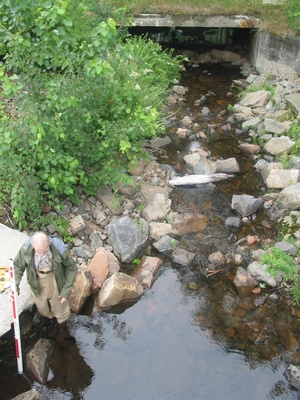 image preview